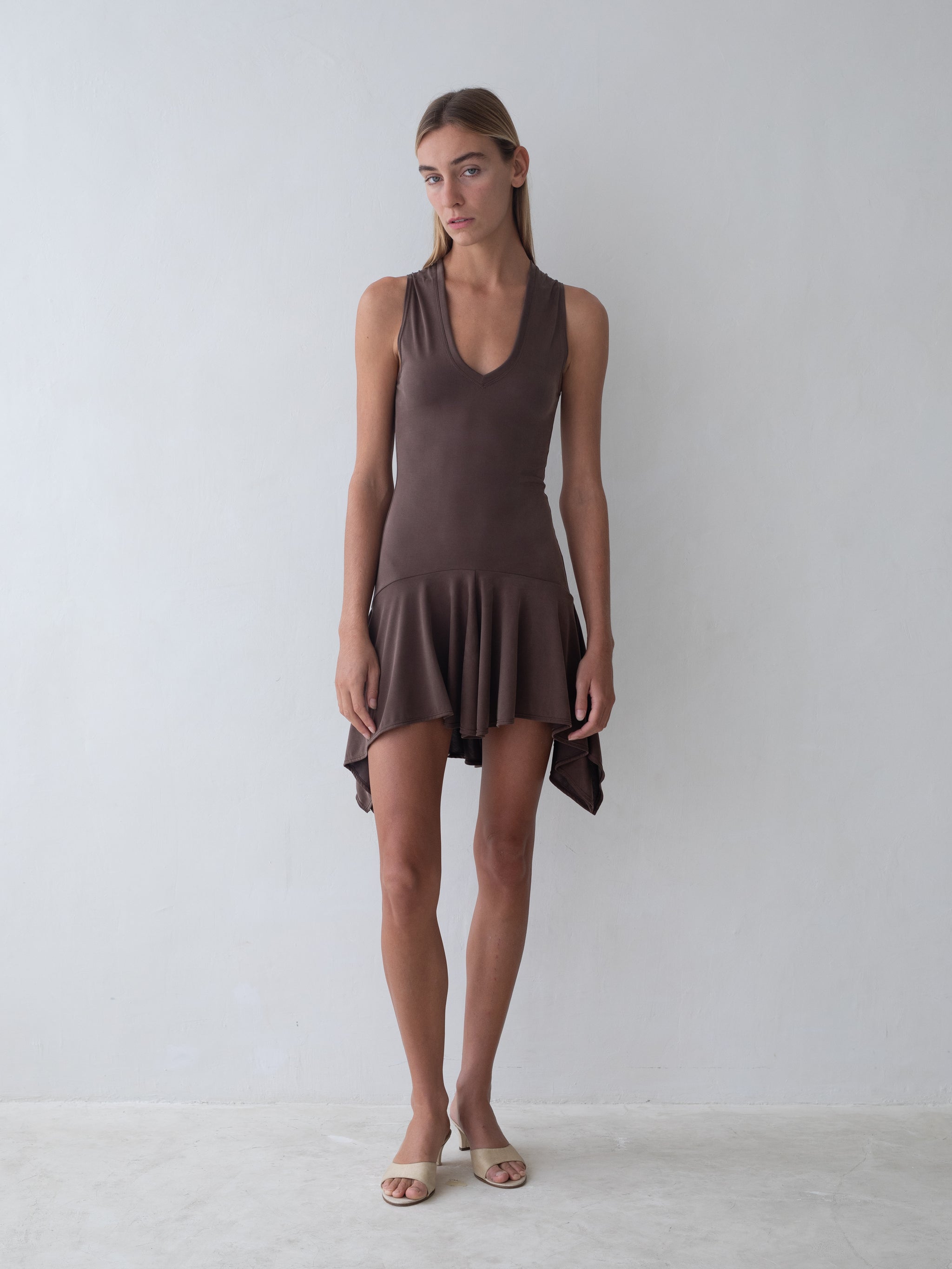 Park Dress - Brown