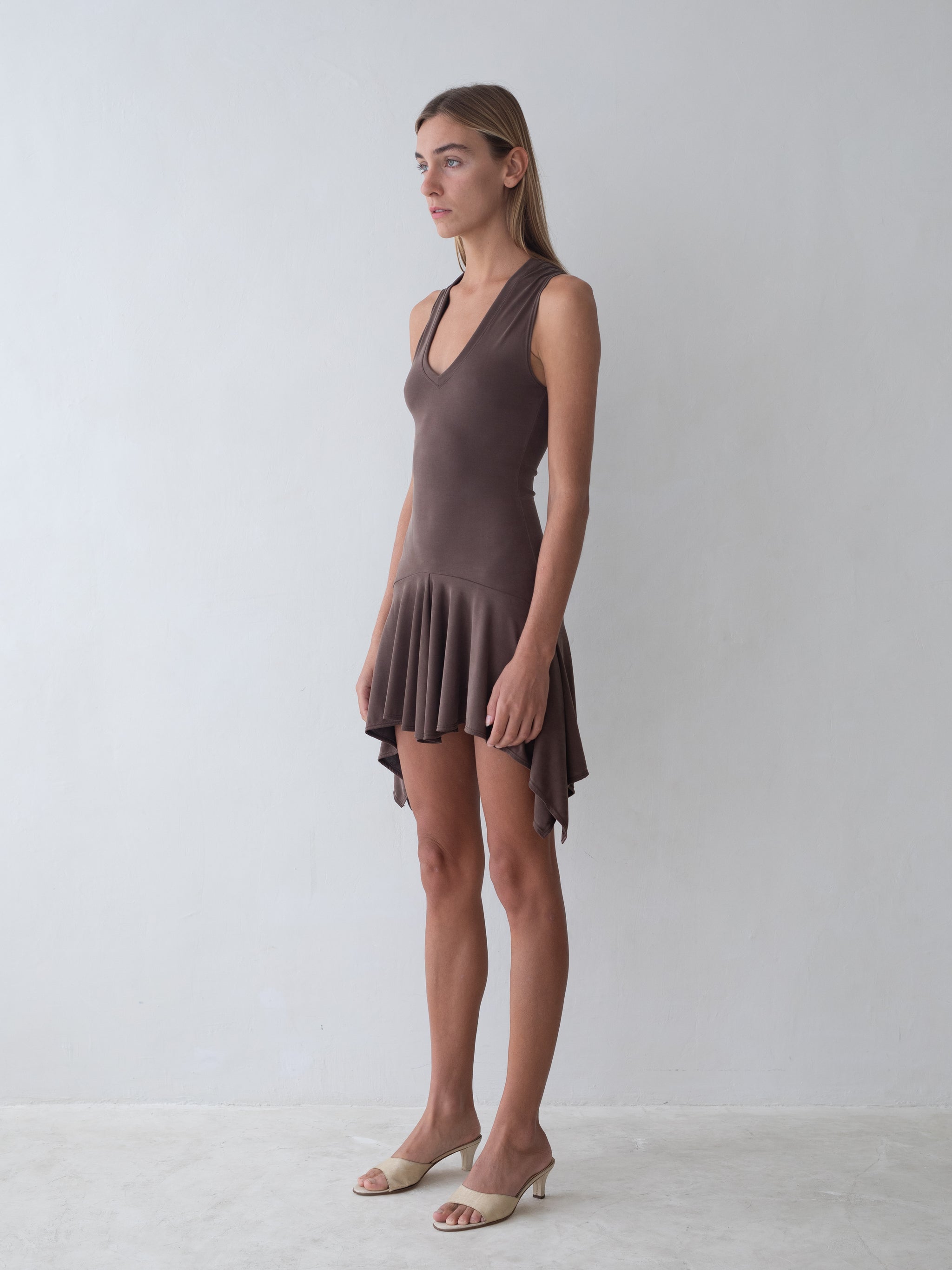 Park Dress - Brown